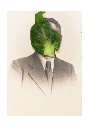 Picture of SPROUT HEAD