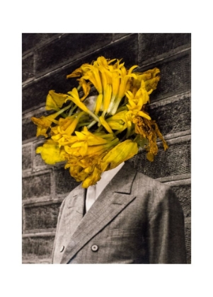 Picture of FLOWER HEAD