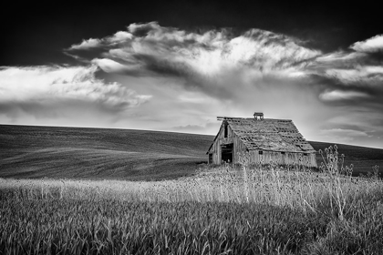 Picture of OLD BARN SUNSET