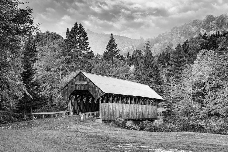 Picture of BENNETT BRIDGE