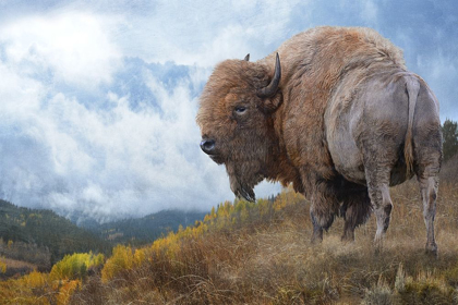Picture of GOLDEN BISON 