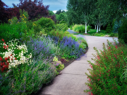 Picture of GARDEN PATHWAY