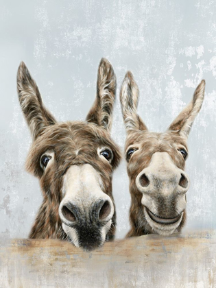 Picture of THE DONKEYS 