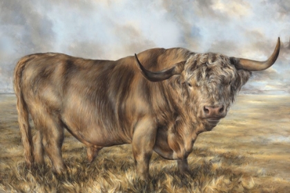 Picture of HIGHLAND BROWN BULL 