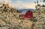 Picture of FAIRYTALE BARN