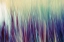 Picture of COLORS OF CANADA II