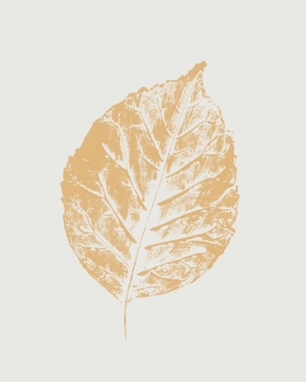 Picture of COLOUR LEAF PRINT I 