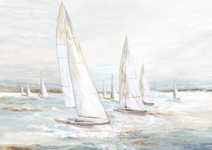 Picture of WINDSWEPT SAILS I