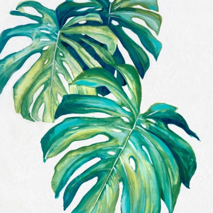 Picture of BOTANICAL MONSTERA II