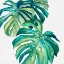 Picture of BOTANICAL MONSTERA II
