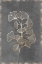 Picture of GILDED BOTANICAL II 