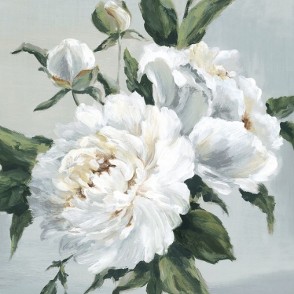 Picture of LARGE PEONIES I
