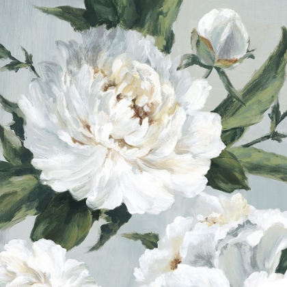 Picture of LARGE PEONIES II