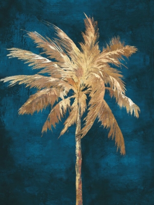 Picture of GOLDEN NIGHT PALM 