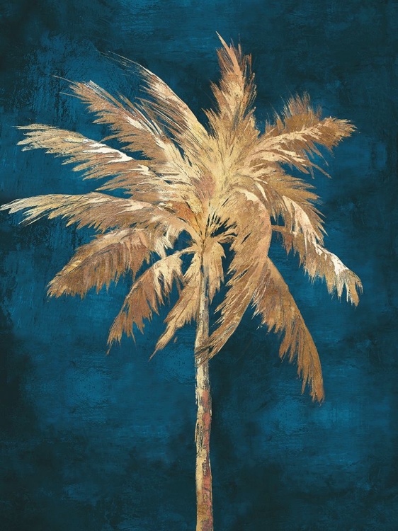 Picture of GOLDEN NIGHT PALM 