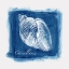 Picture of CALM BLUE OCEAN III