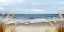 Picture of UNTOUCHED BEACH GRASS