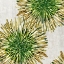 Picture of BURST OF GREEN 