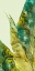 Picture of TROPICAL GREEN LEAVES I 