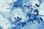 Picture of INDIGO BRANCHES 