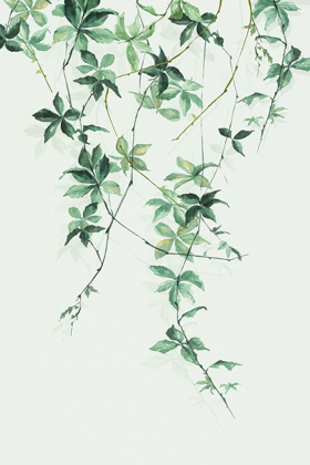 Picture of ENCHANTING VINE