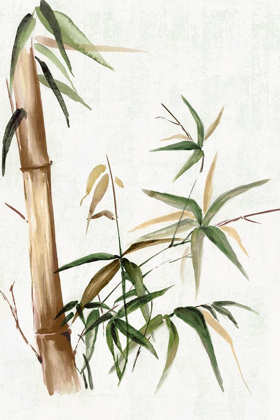 Picture of GREEN BAMBOO I