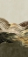 Picture of WAVES OF SAGE II