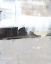 Picture of SHADOW HORIZON II