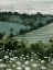 Picture of ROLLING PASTURE I