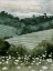 Picture of ROLLING PASTURE II