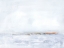 Picture of POLAR DIVIDE II