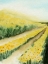 Picture of GILDED AISLES I