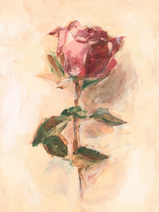 Picture of PAINTERLY ROSE STUDY I