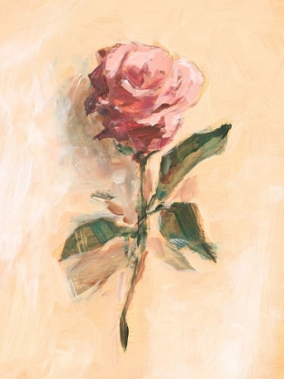 Picture of PAINTERLY ROSE STUDY II