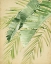 Picture of BANANA PALMS II