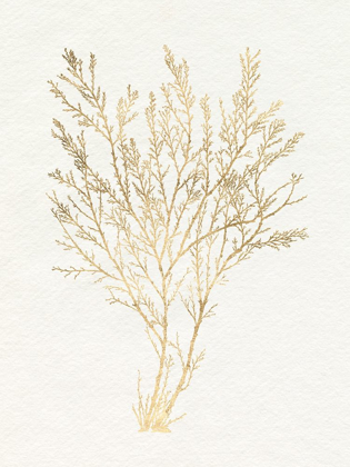 Picture of GILDED ALGAE I