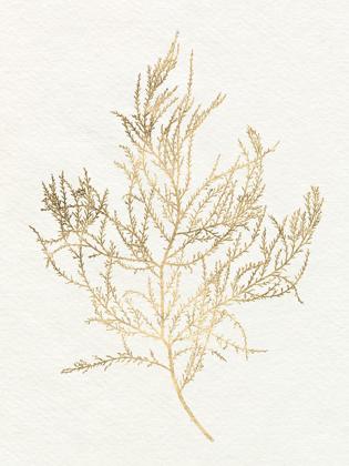 Picture of GILDED ALGAE III