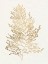 Picture of GILDED ALGAE IV