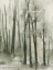 Picture of INTO THE WOODS III