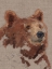 Picture of BIG BEAR II