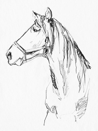 Picture of BRIDLE PORTRAITS I