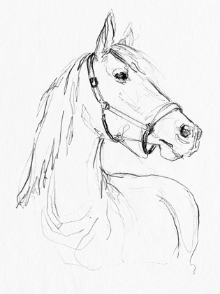 Picture of BRIDLE PORTRAITS II