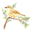 Picture of SPRINGTIME SONGBIRDS II