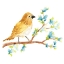 Picture of SPRINGTIME SONGBIRDS III