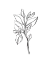 Picture of LEAF SPRIG I