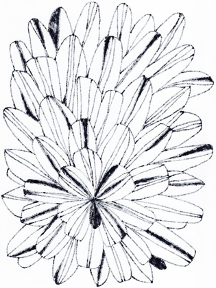 Picture of MONOCHROME KALEIDOSCOPE I