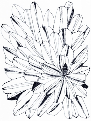 Picture of MONOCHROME KALEIDOSCOPE II