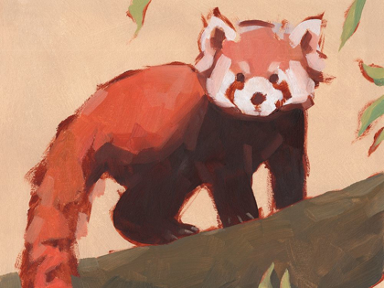 Picture of RED PANDA I