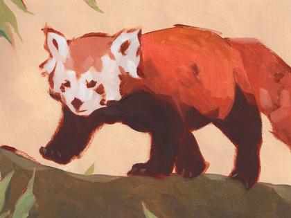 Picture of RED PANDA II