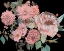 Picture of NIGHT BLOOMING FLOWERS I